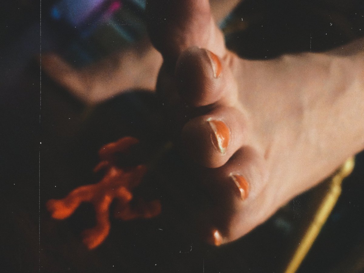 Eve Silver-Star BOOKING BOUNDCON & FETCON 2026 tweet media