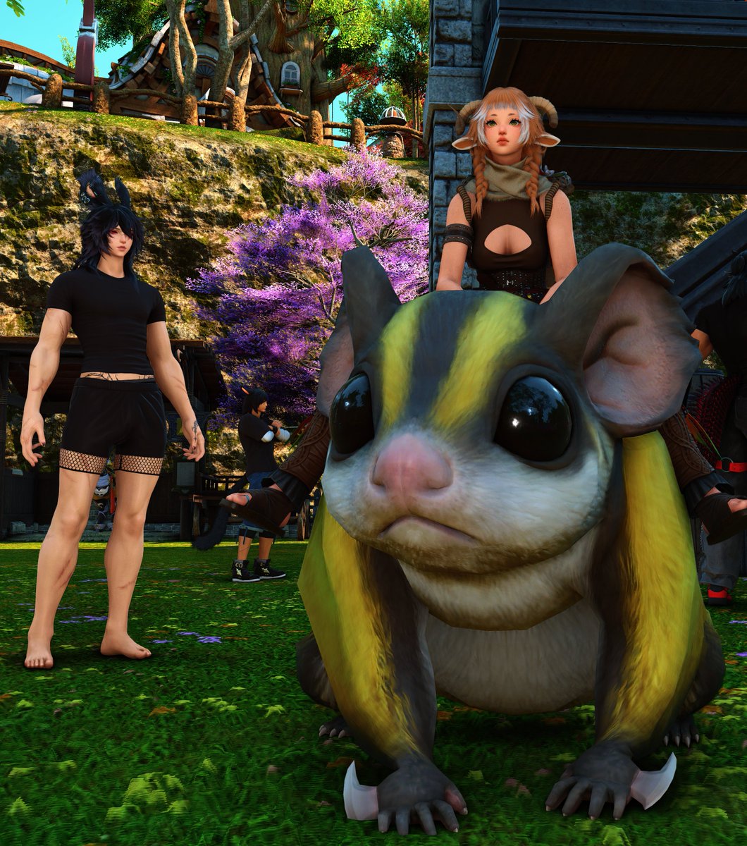 Kai Cindersage tweet media