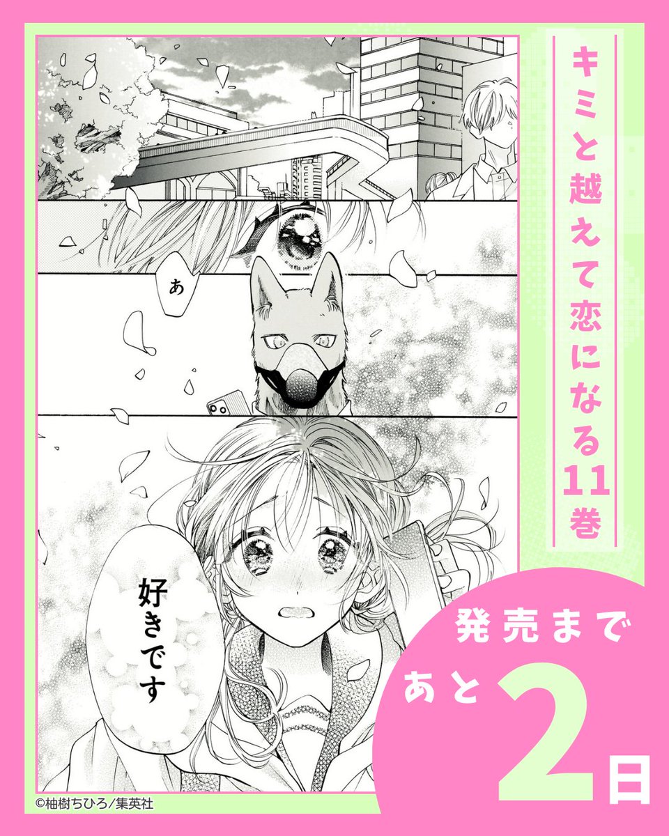 キミと越えて恋になる|キミ越え【公式】 tweet media