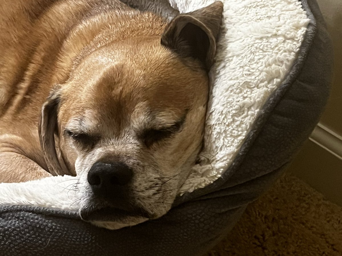 William the Alchemist VTuber🧪 tweet media