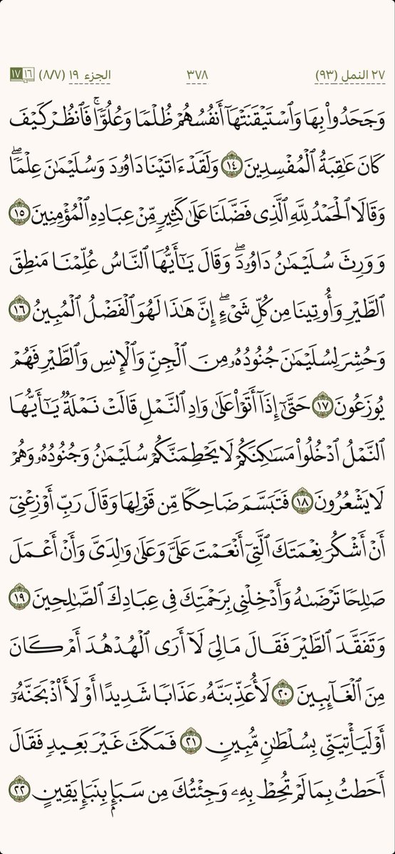 كل يوم صفحة tweet media