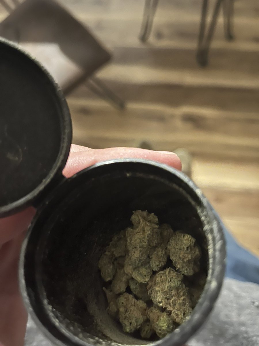 Chica Grifa 3000 tweet media