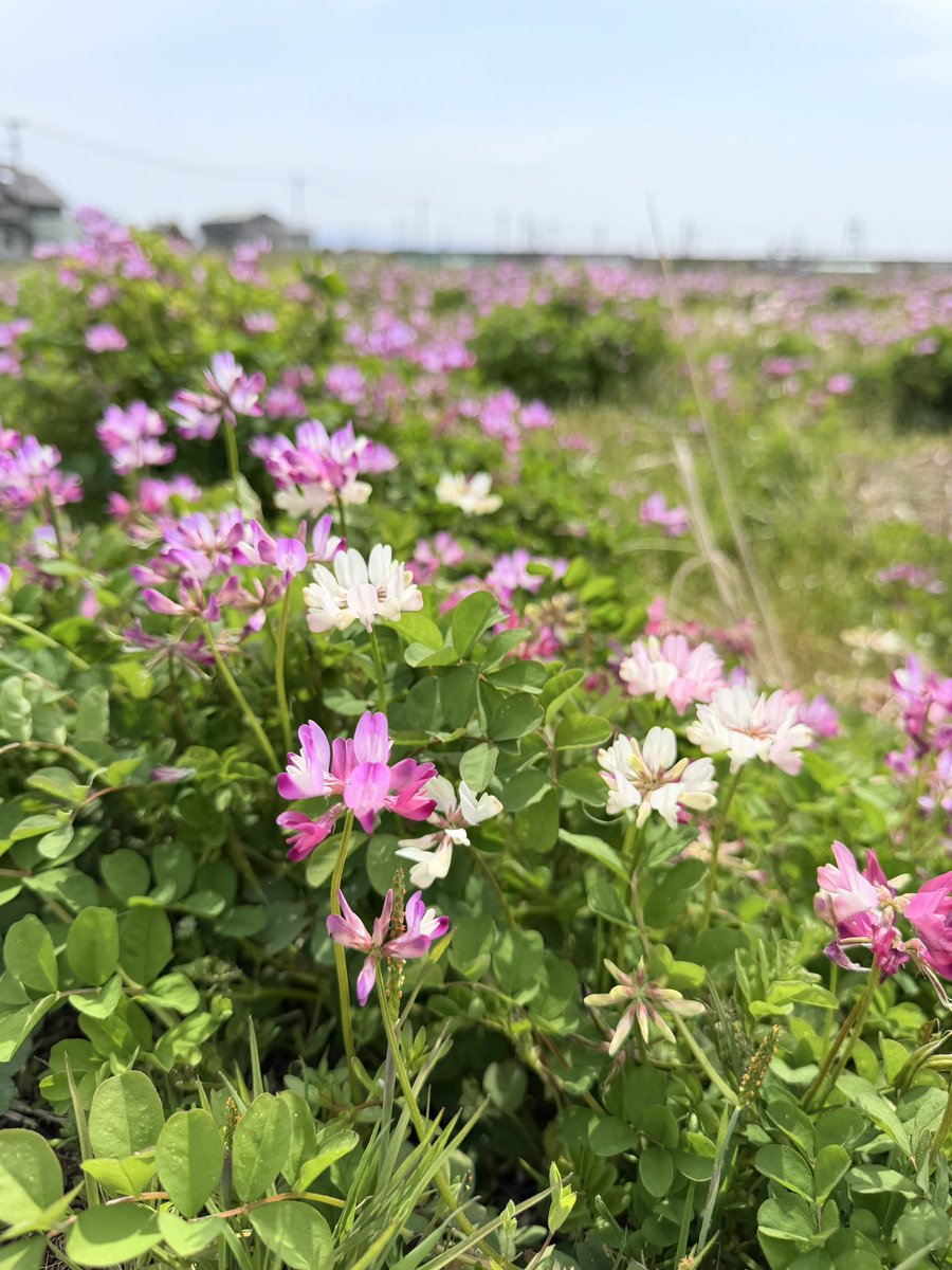 ねむる tweet media