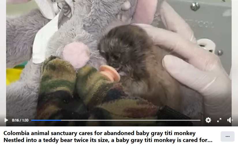 CBrash (21 arc) tweet media