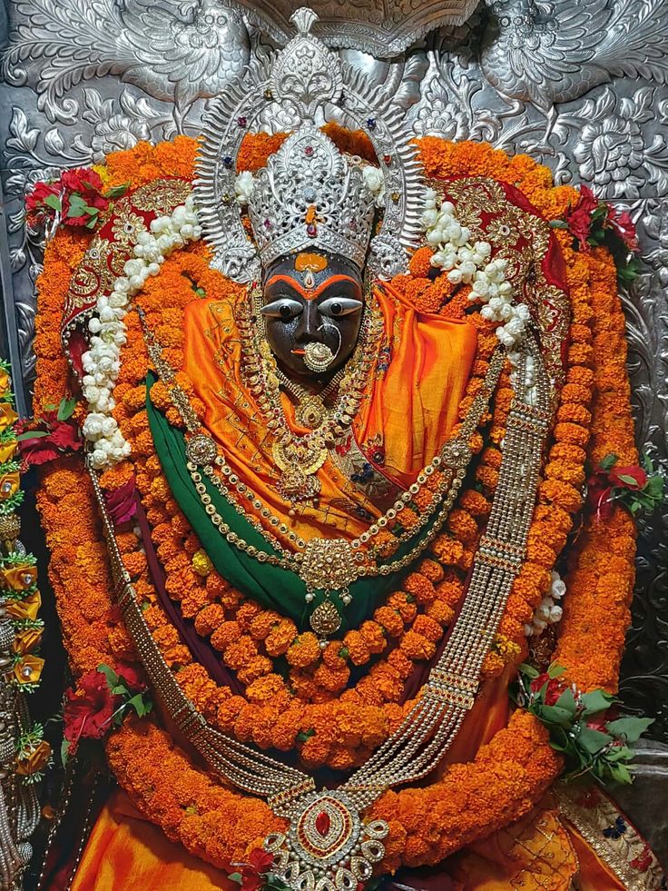 #जय मां शारदे 🌺🌾🙏🌾🌺