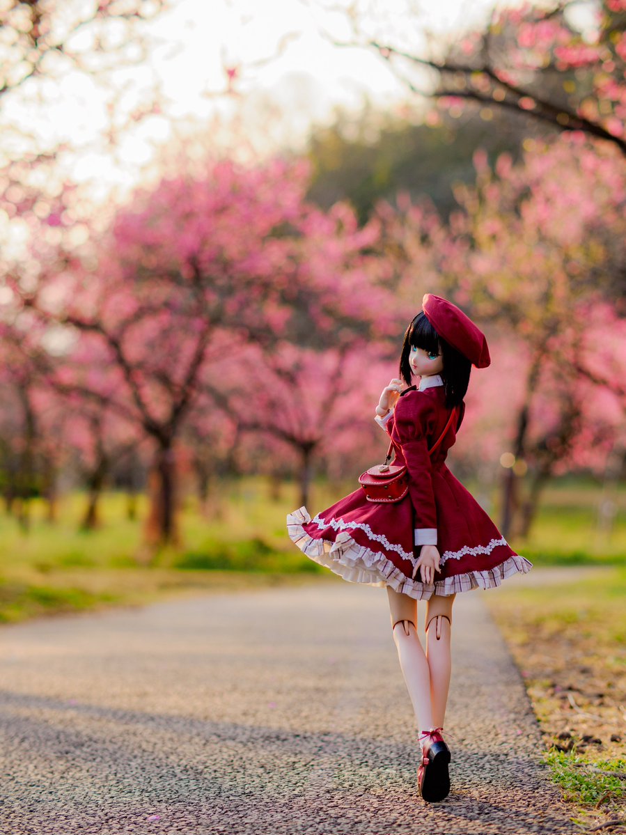 だいくろーど tweet media