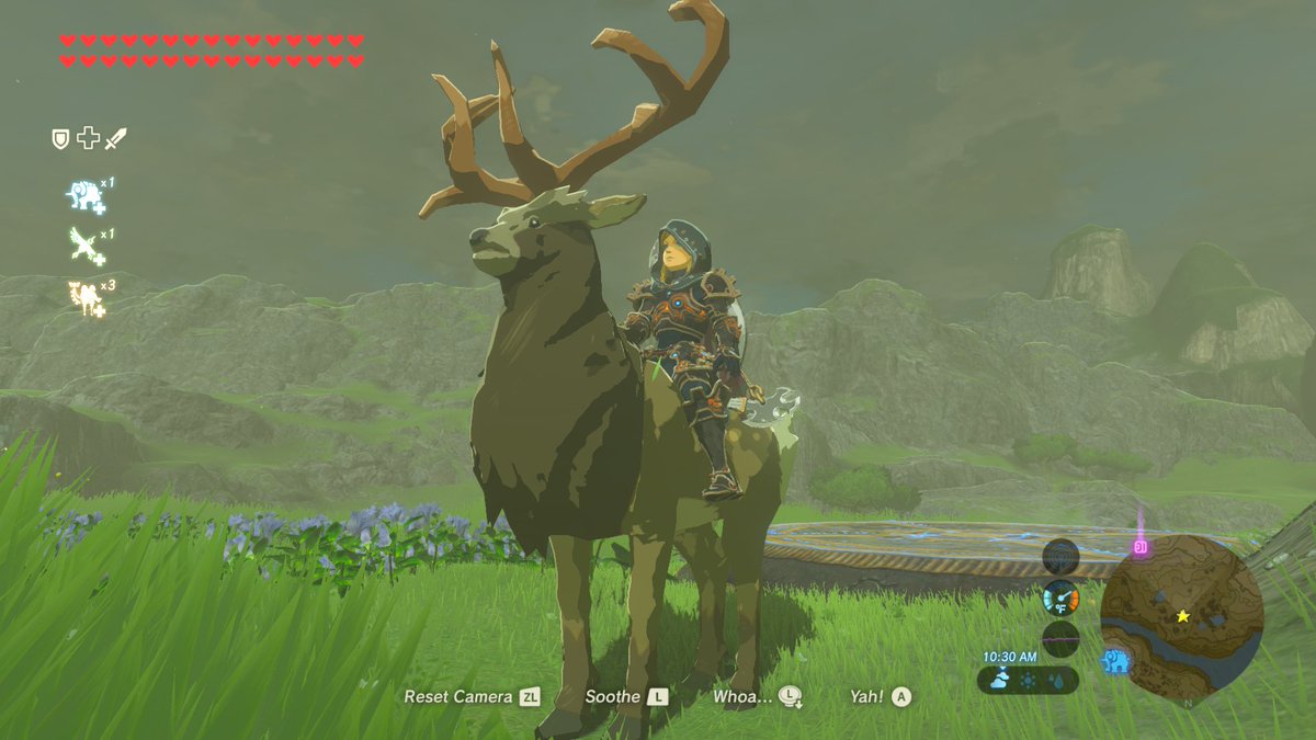 Link de Hyrule tweet media