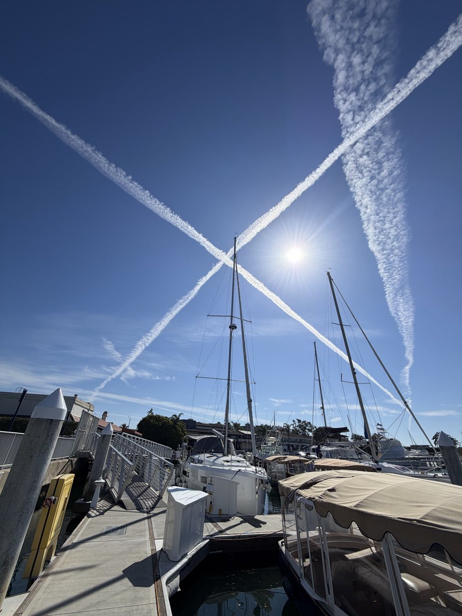 🇺🇸Patience, the best is yet to come🇺🇸 tweet media