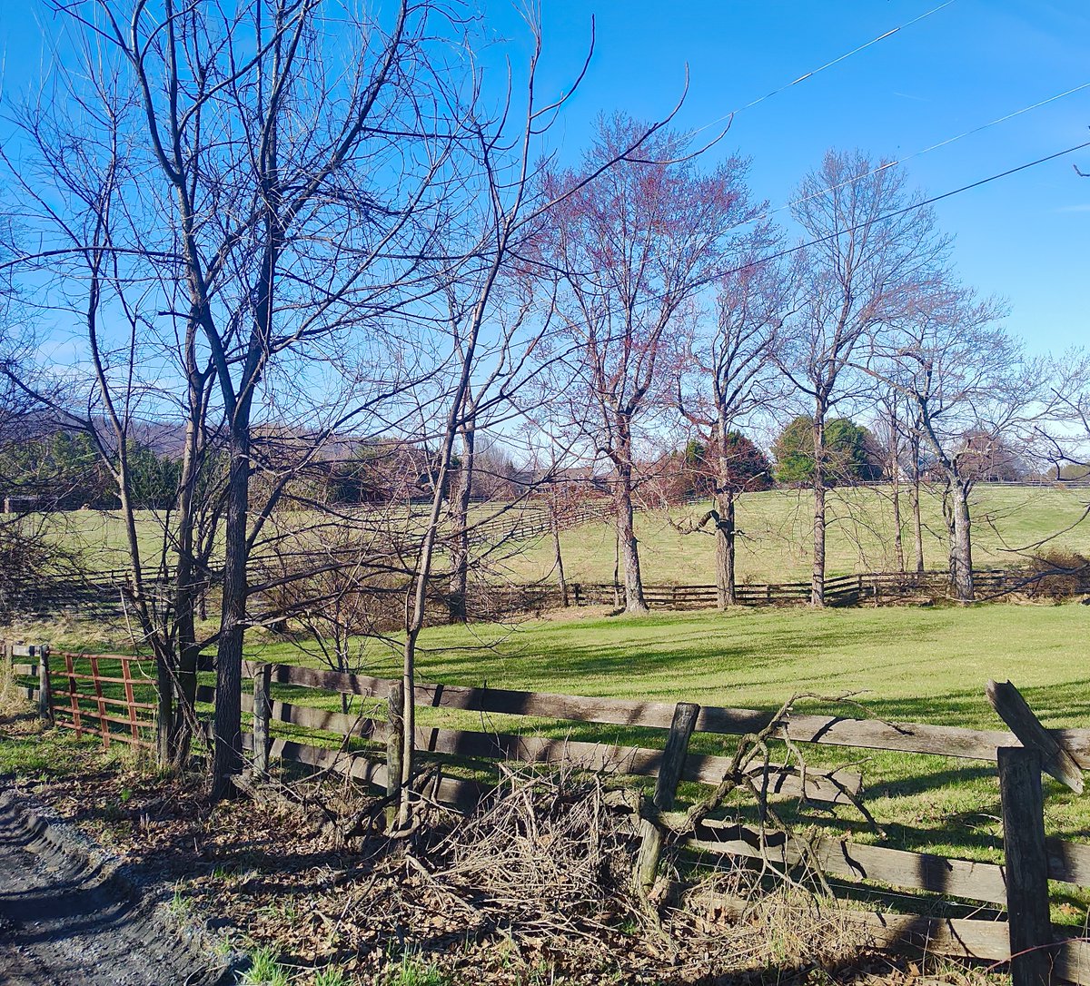 John P. Flannery tweet media