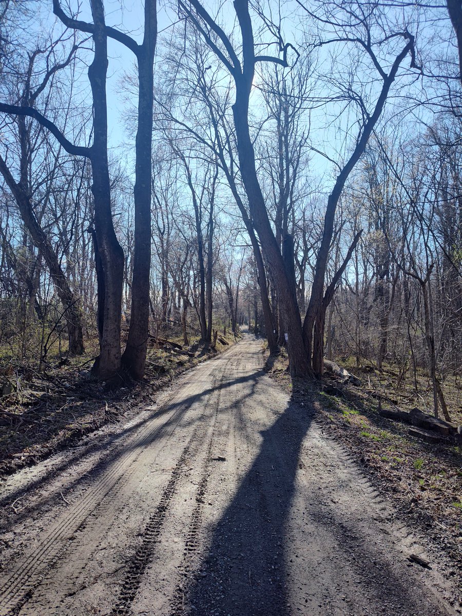 John P. Flannery tweet media