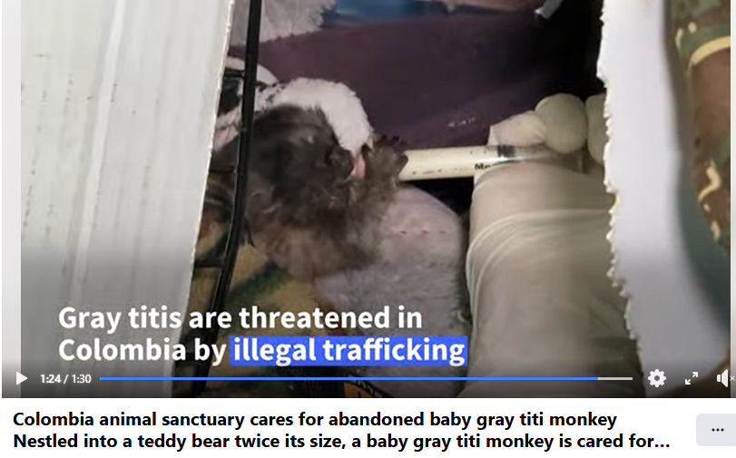 CBrash (21 arc) tweet media