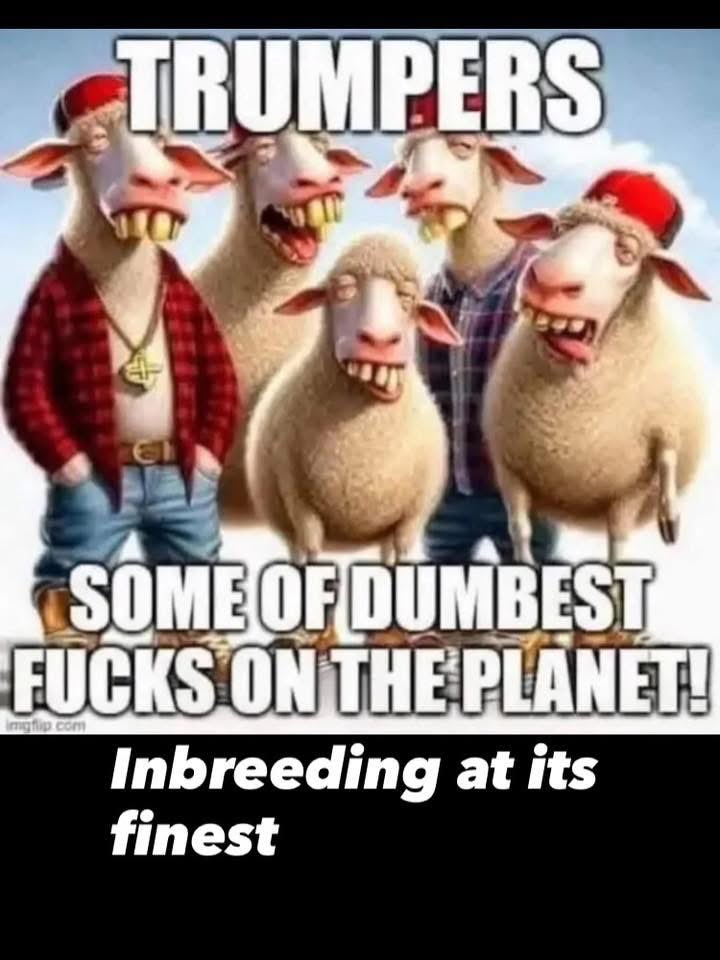 PrairieGirl128 🇨🇦 tweet media