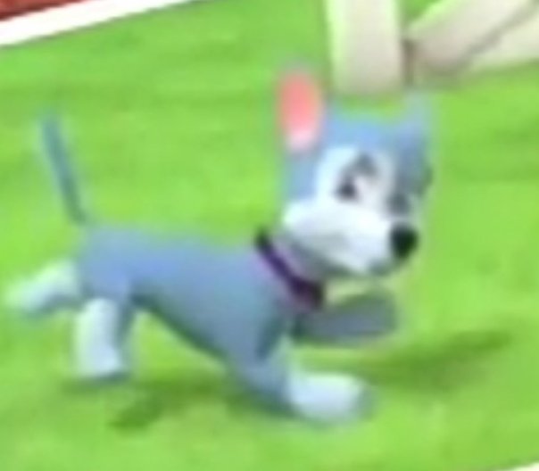 S•F•G•°• & Rosuiva tweet media