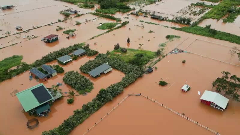 Silversora 🍉🌺 tweet media