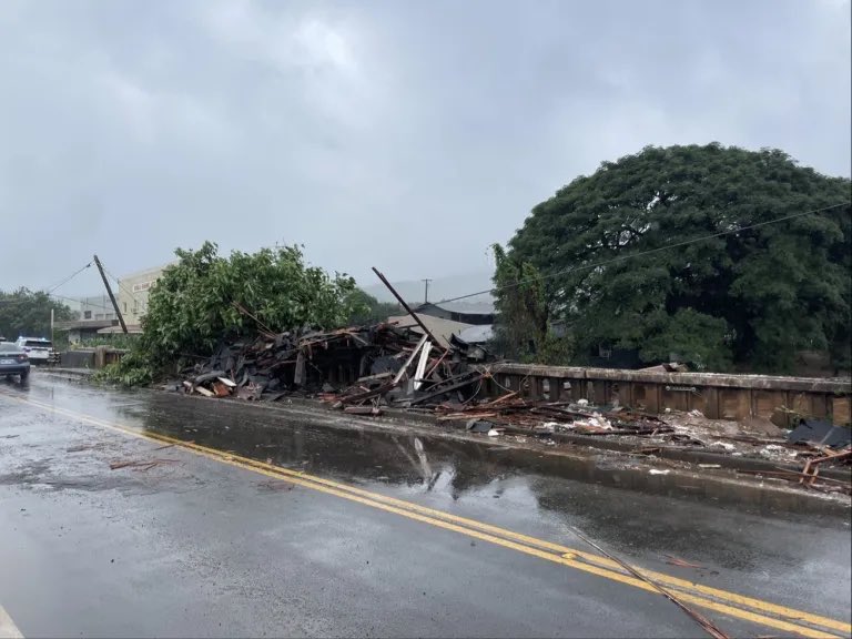 Silversora 🍉🌺 tweet media