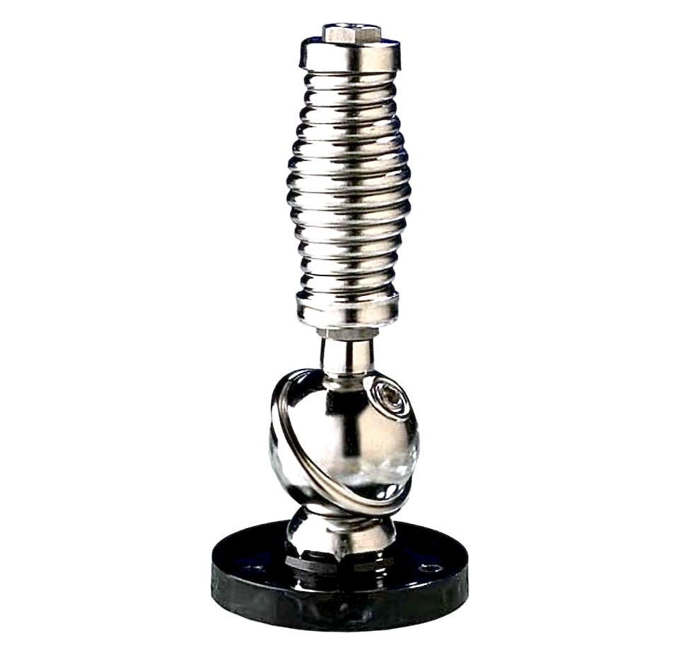 Denise 🤌🐾🇮🇹 tweet media