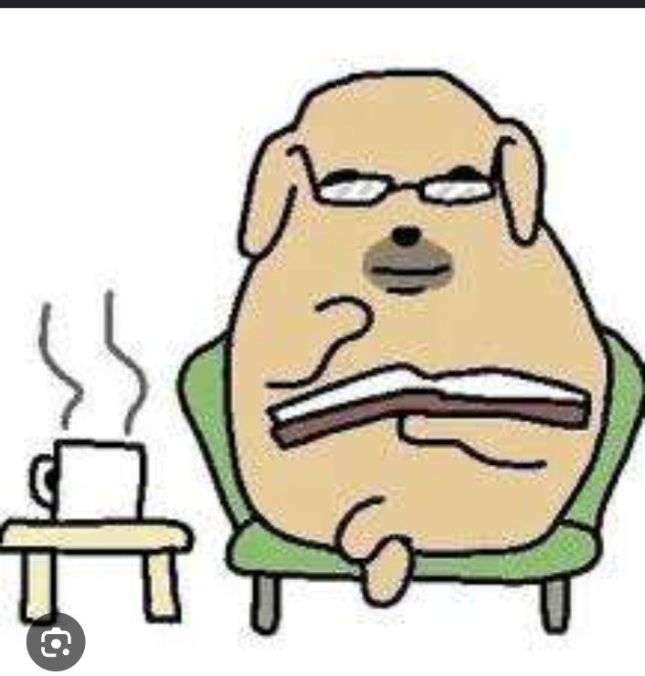 𝑧𝑒𝑎𝑦𝑎. open jokiy disc 50% 📌 tweet media