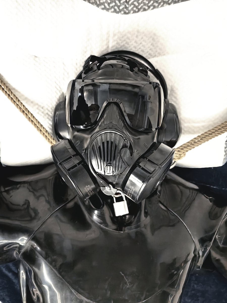 Mr 虎焱 tweet media