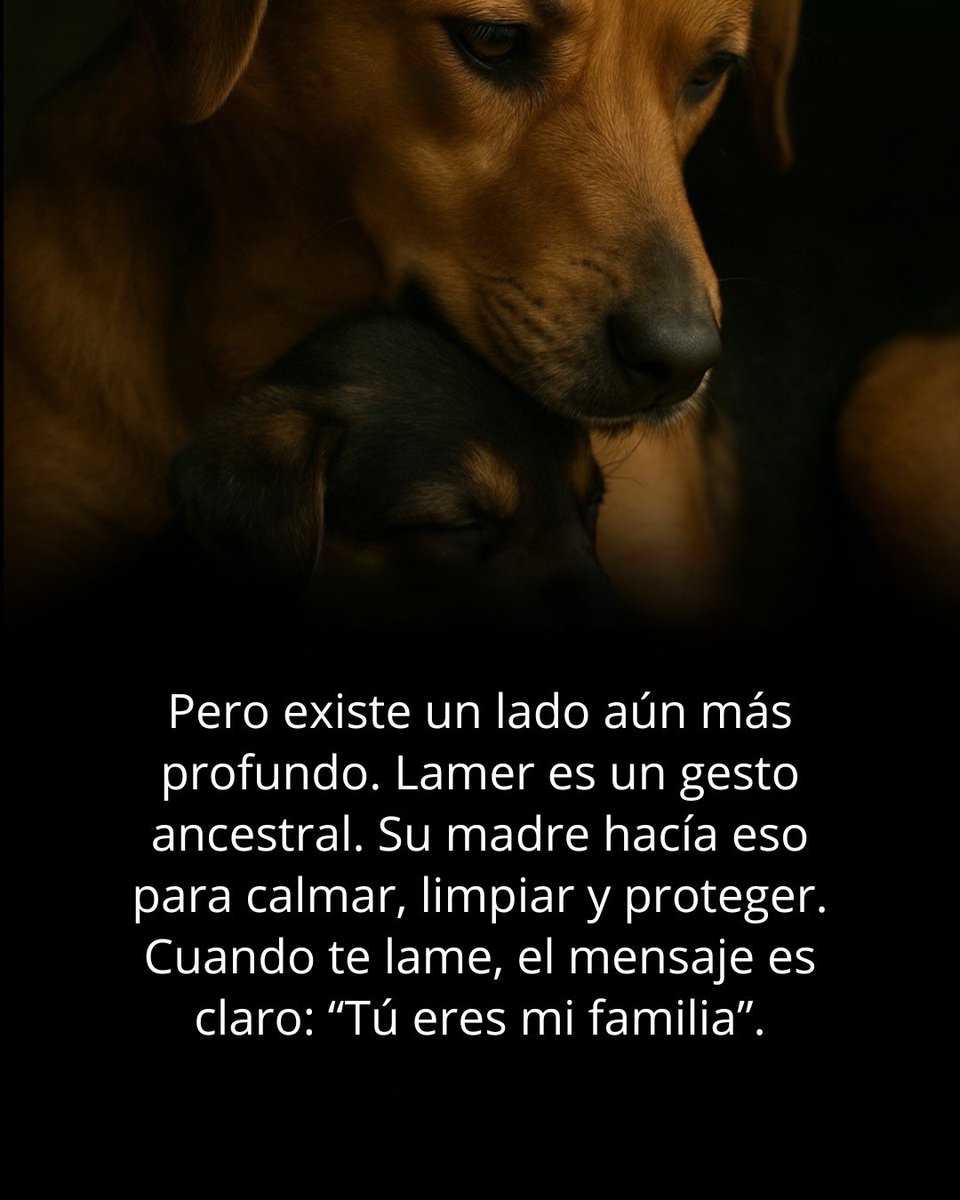 Jorge Domingo Risso (@jorgedomingo63) on Twitter photo 