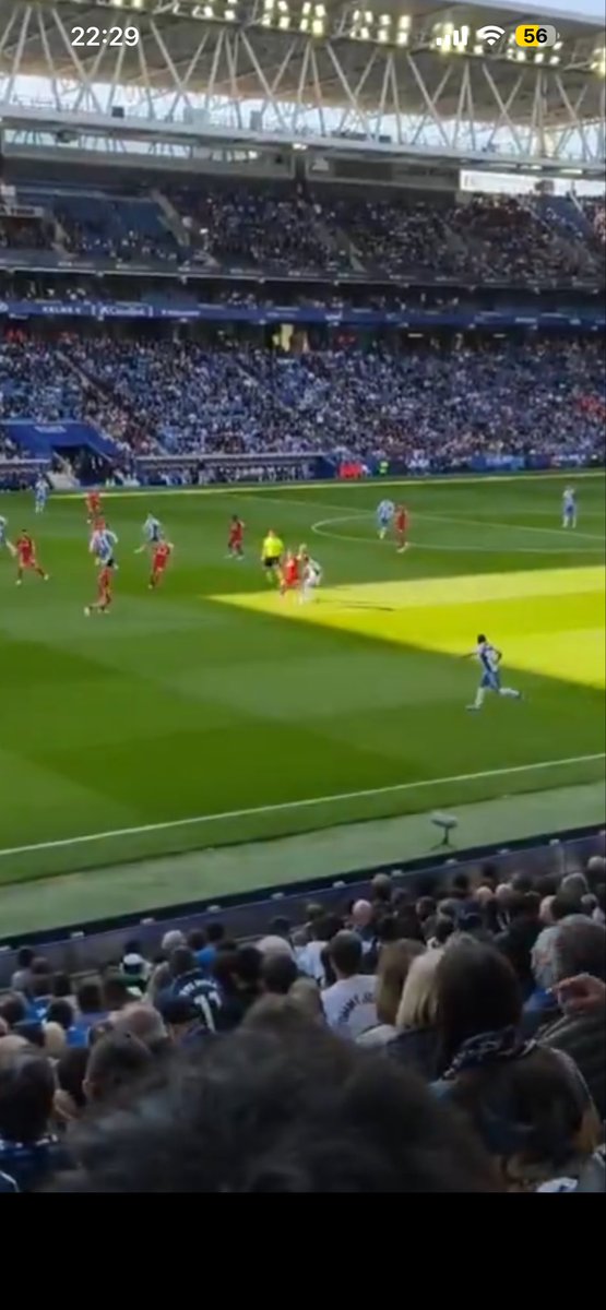 SemprePerico tweet media