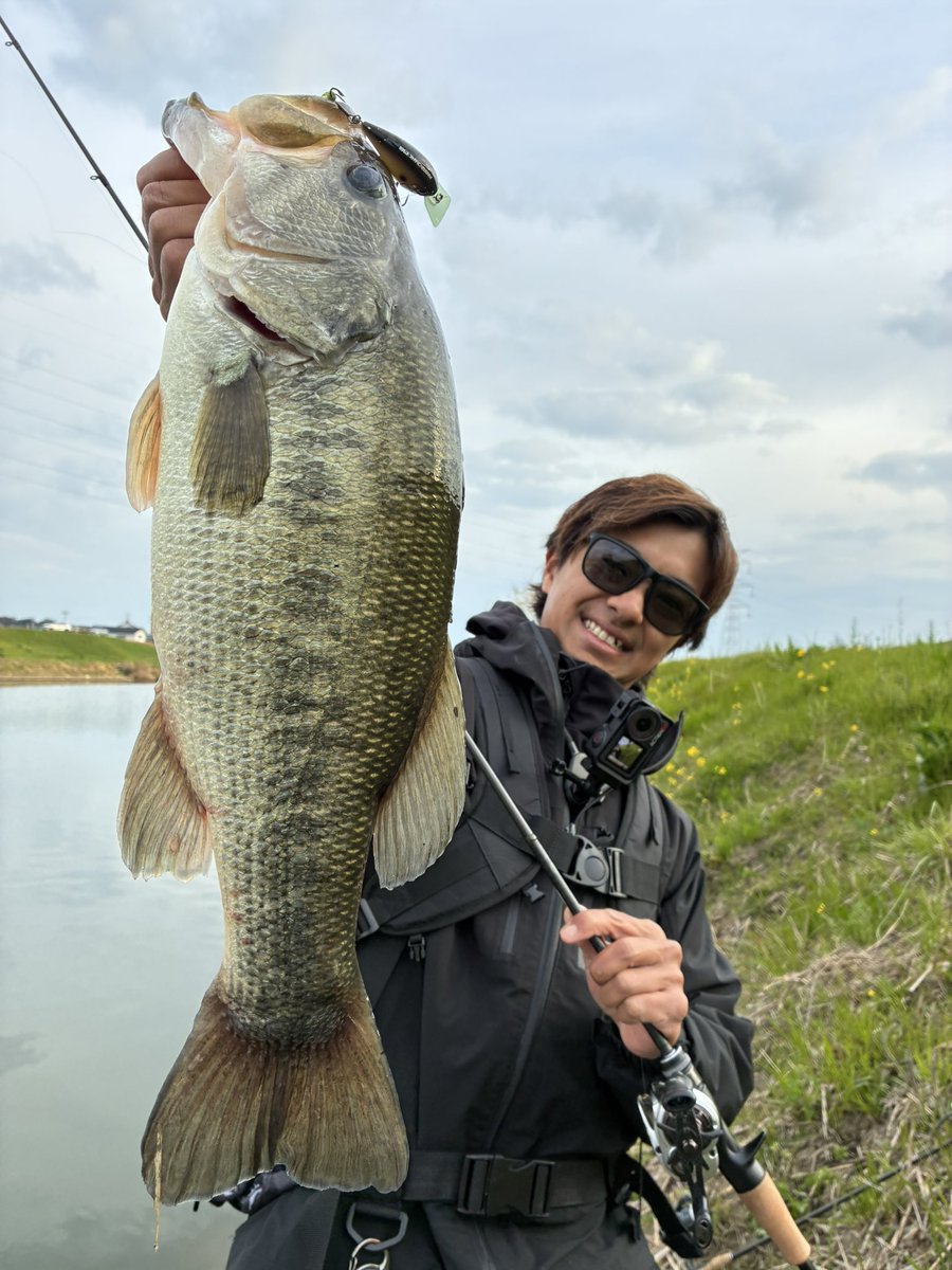 加木屋 守 (マーモ) tweet media