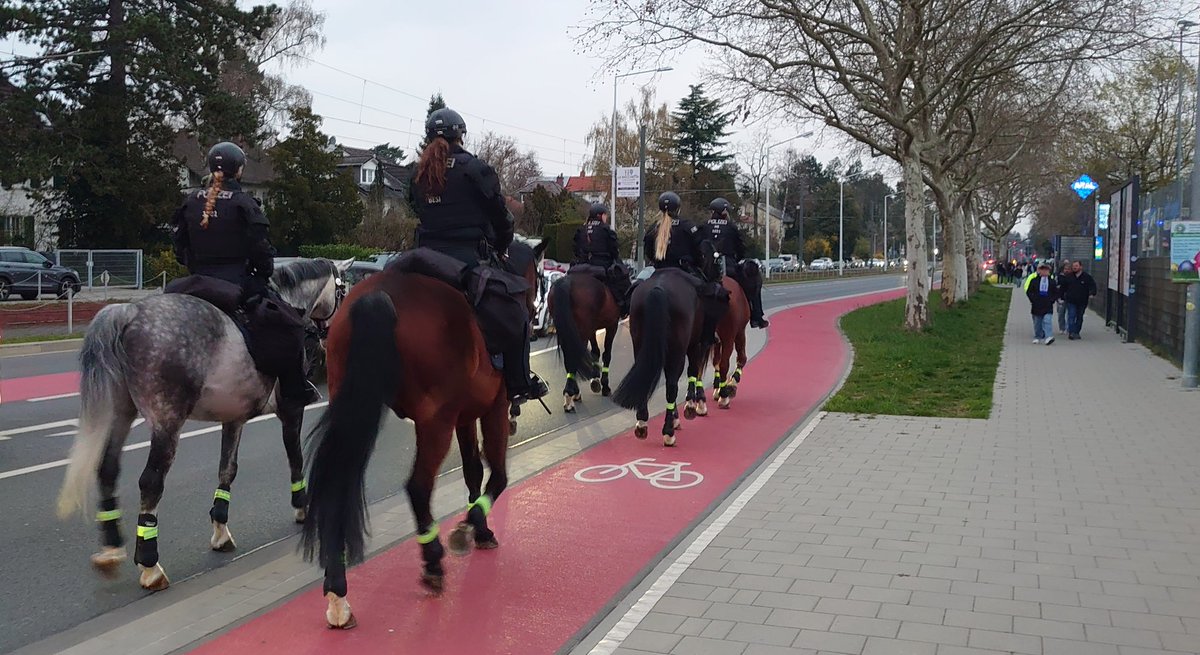 Mark O. Bell tweet media