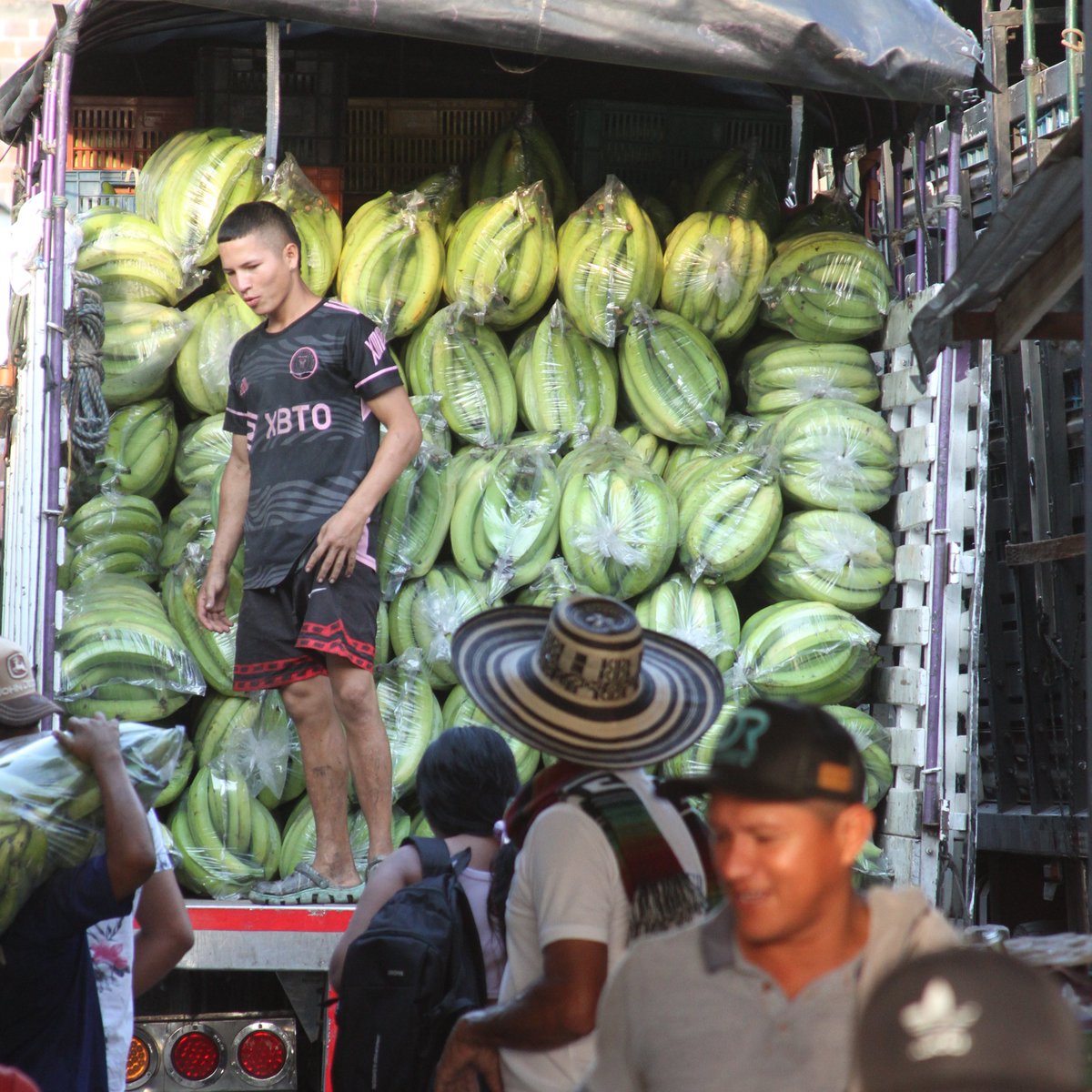 Construyendo Región tweet media