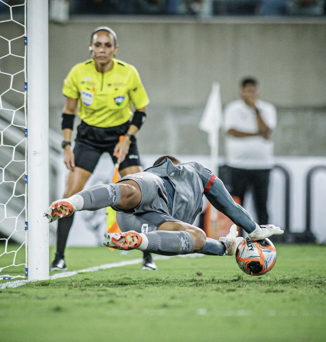 Nação Americana tweet media