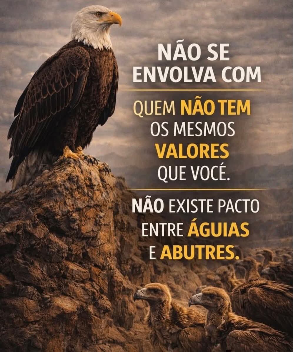 WanderValero tweet media