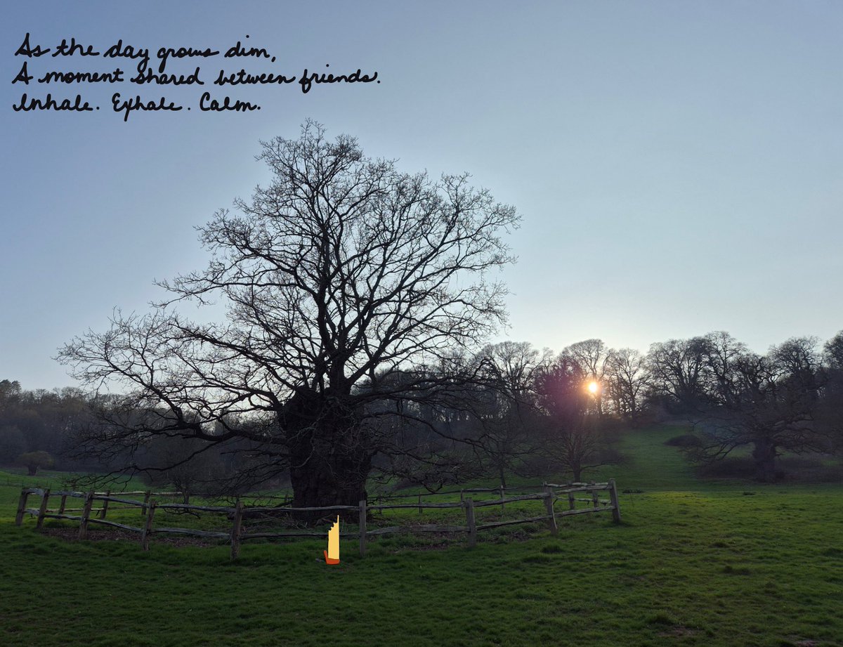 Dr Caitlin R Kight tweet media