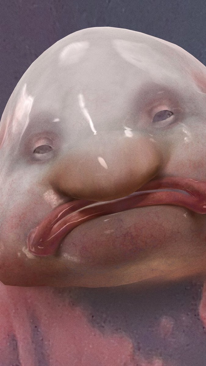 lezko🖊 tweet media