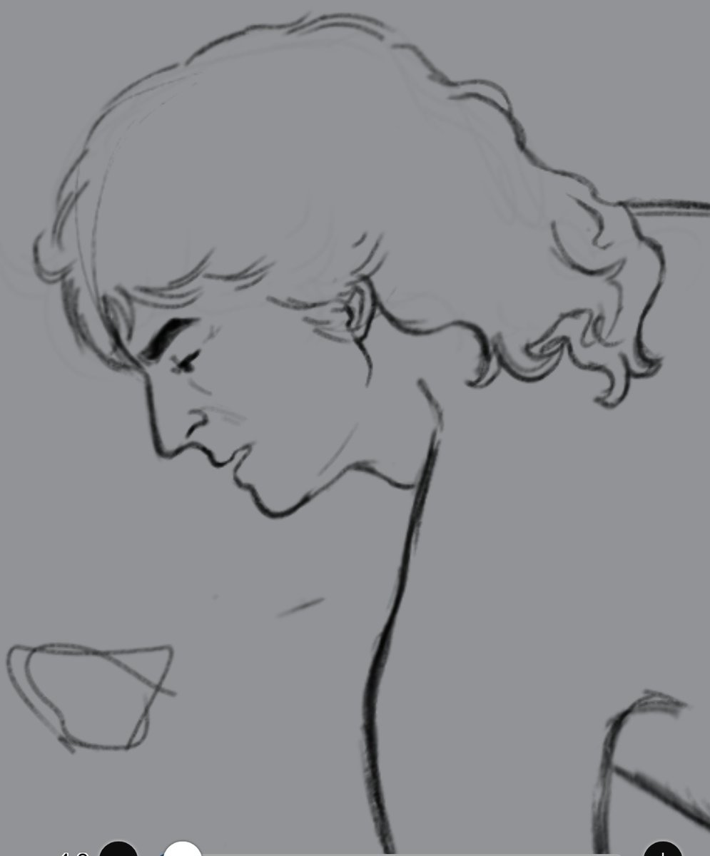 ripphi🦜 tweet media