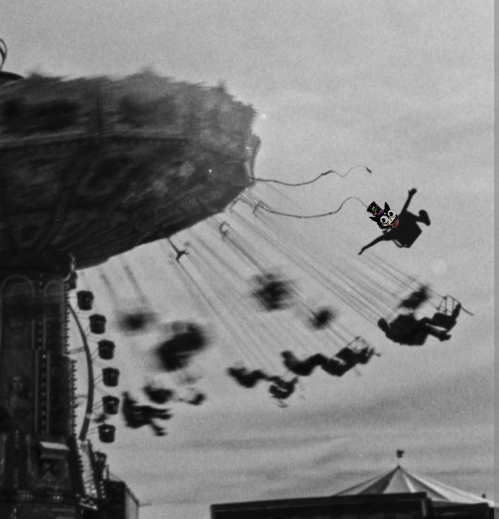 imwalkinghere tweet media