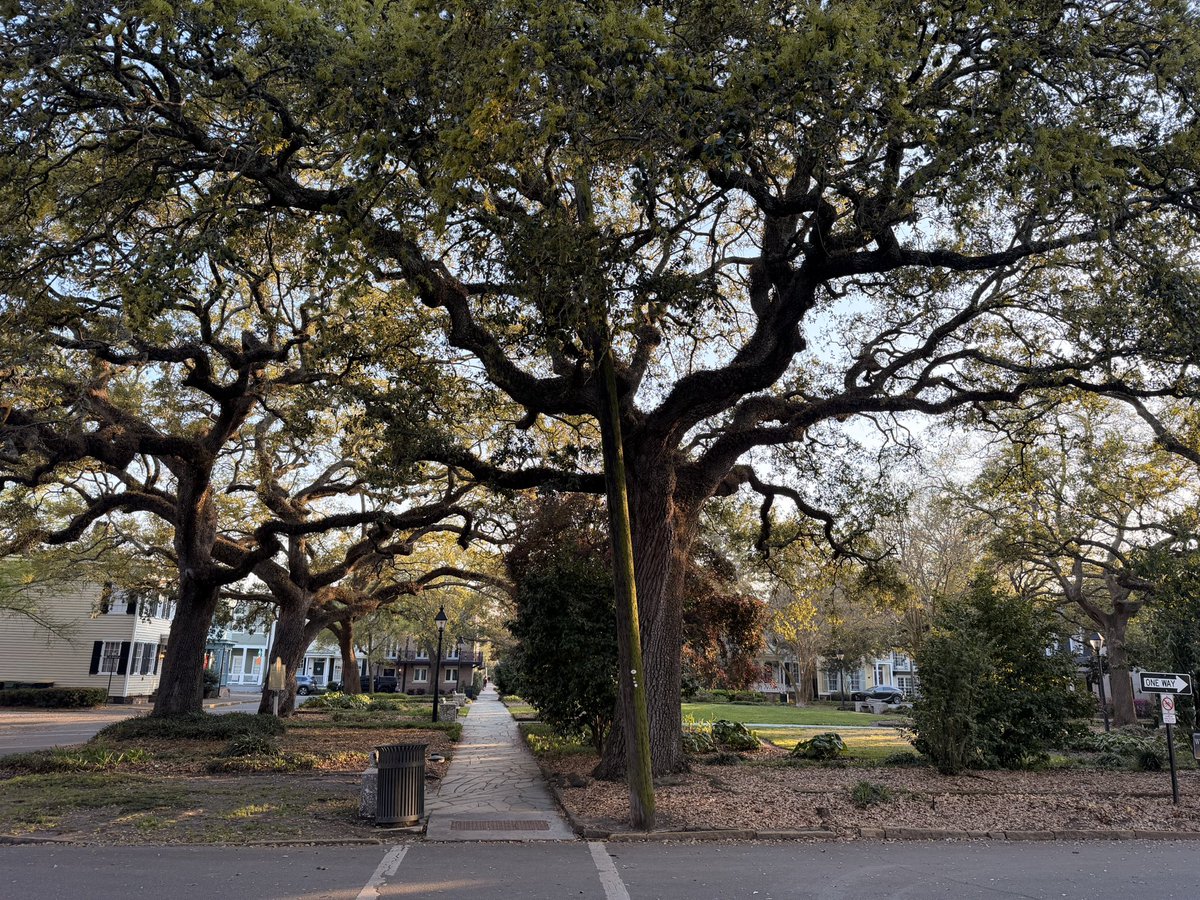 Enguerrand VII de Coucy tweet media