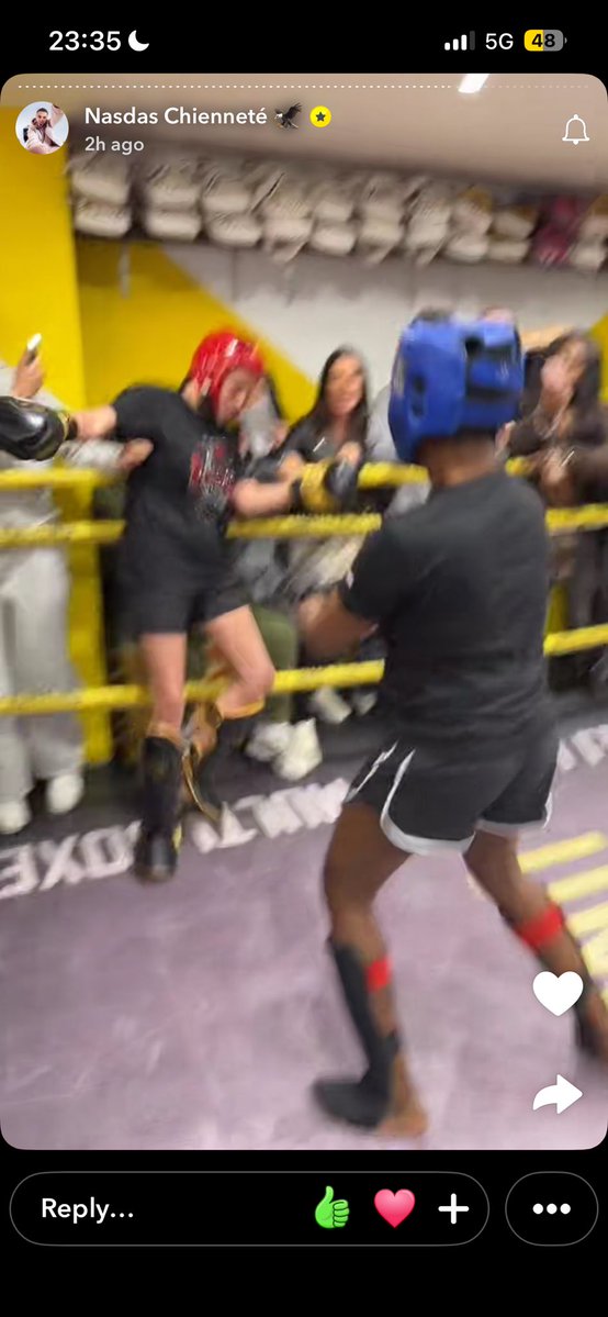 MANOA 🕷️ tweet media