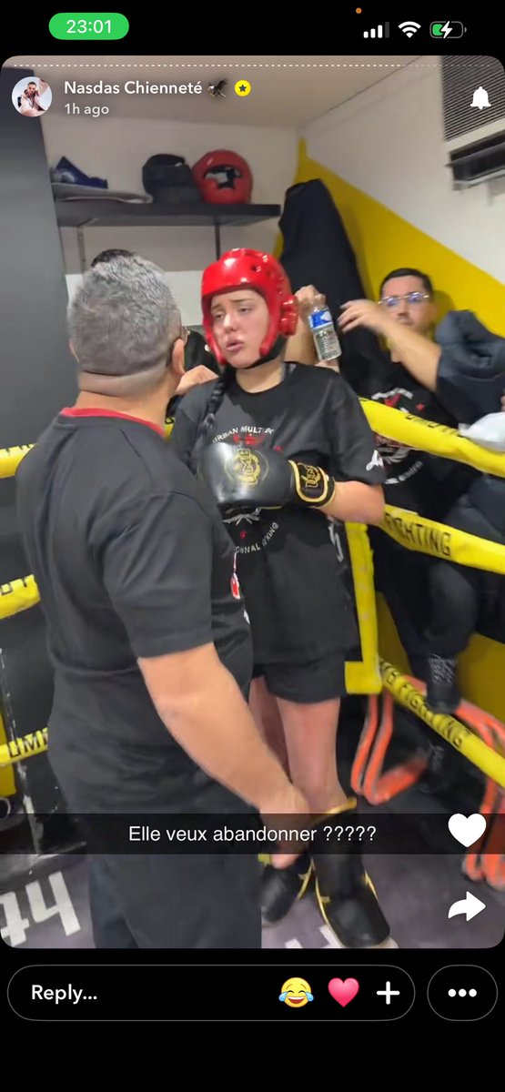 MANOA 🕷️ tweet media