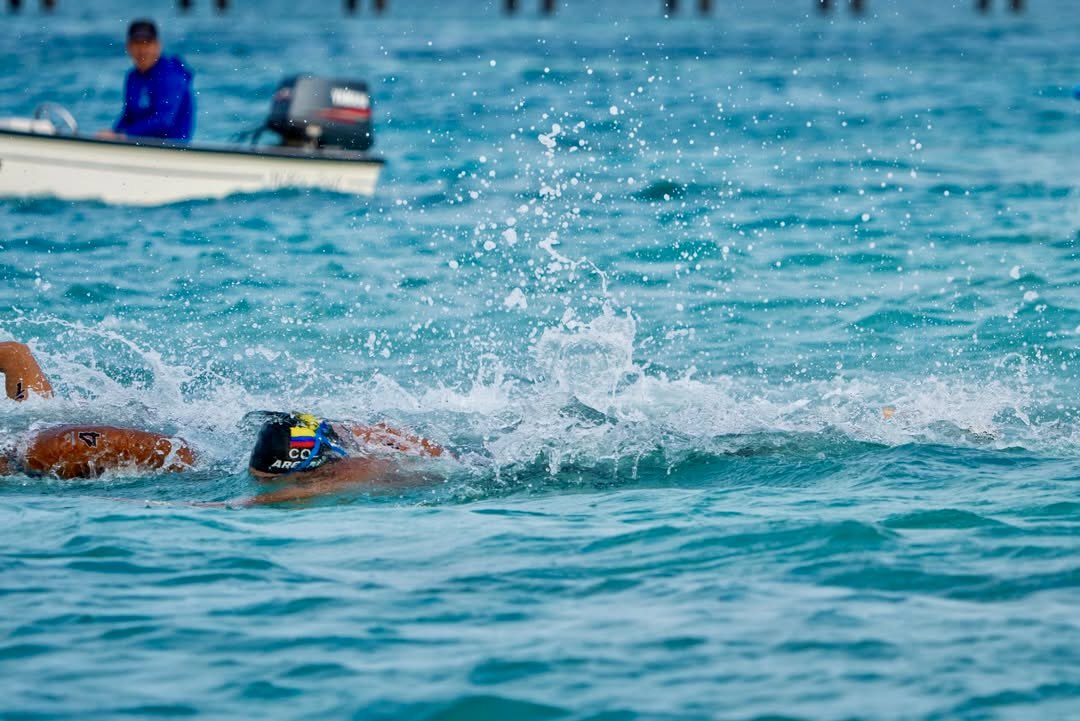 Federación Colombiana de Natación tweet media