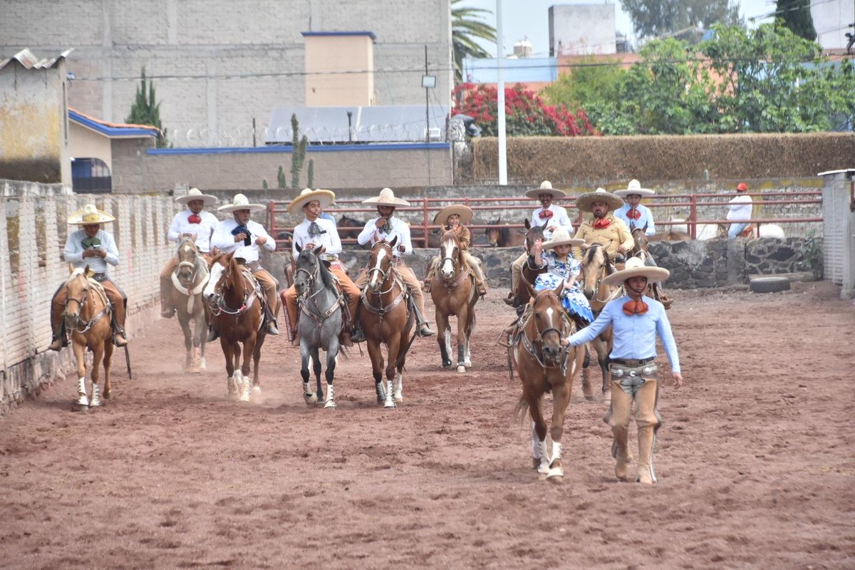 Berenice Hernández Calderón tweet media