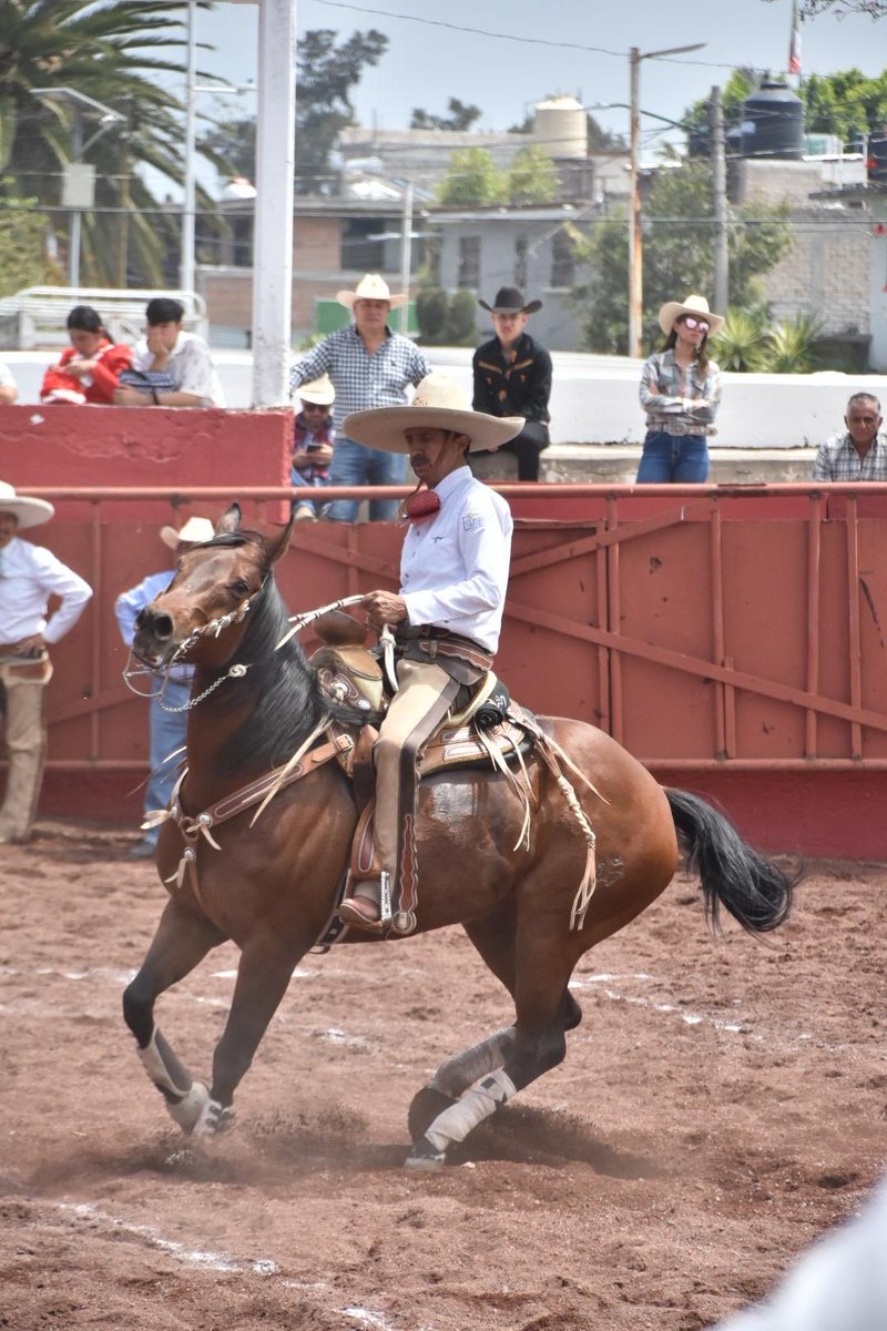 Berenice Hernández Calderón tweet media