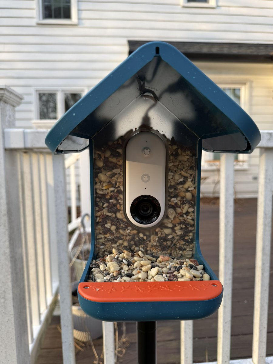 lady red sox tweet media