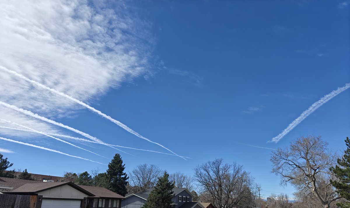 Phauncer Cryoy tweet media