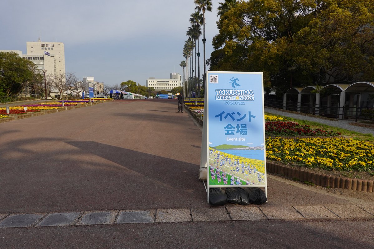 放浪者 tweet media