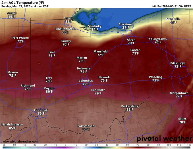 Nancy Gerlach tweet media