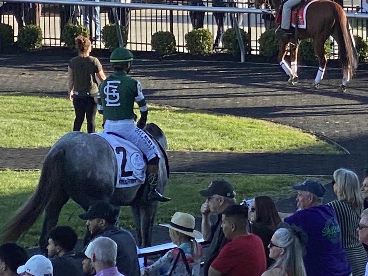 Drew Amman tweet media