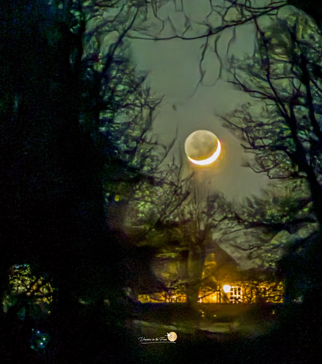 Veronica in the Fens 🧚🏼‍♀️ My Heart in Nature tweet media