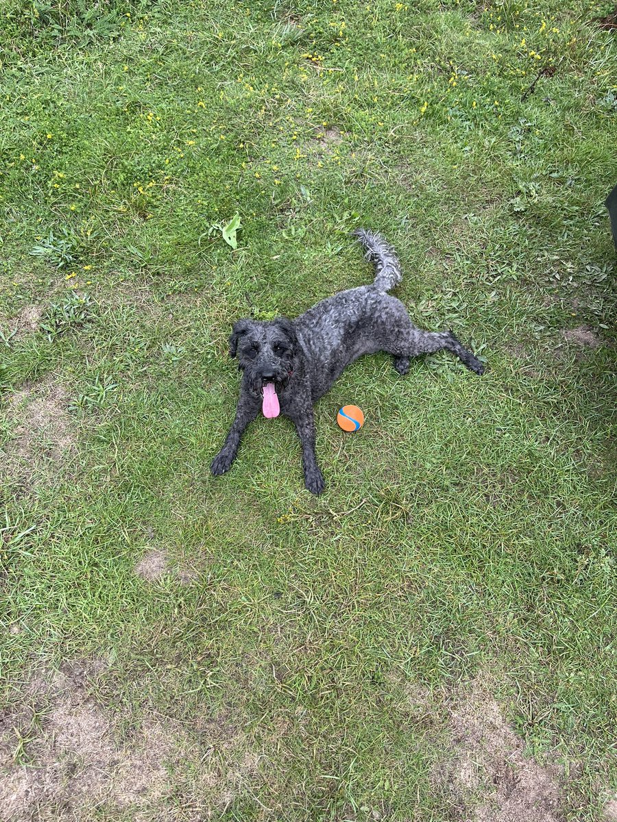 Matthew Smith tweet media