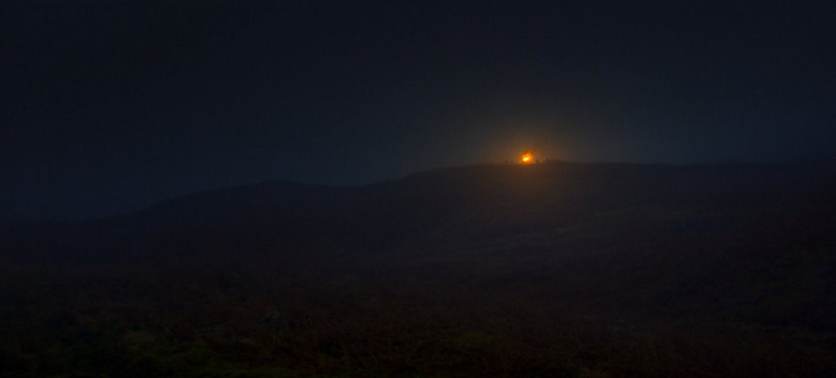 Leo. 🕷️ tweet media