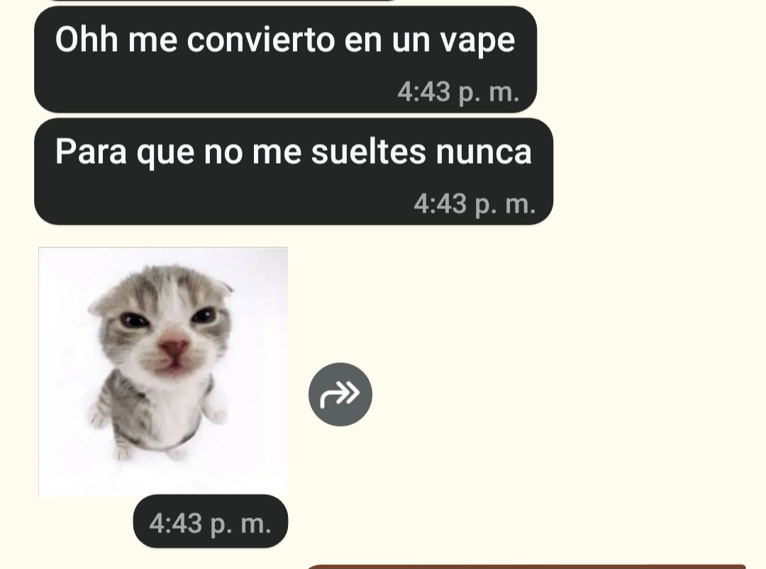 イアン☘️ tweet media