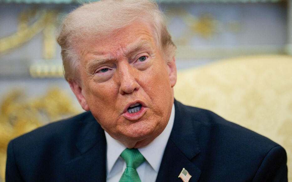 Little Think Tank tweet media