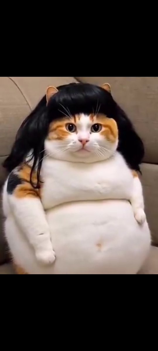 Klarname: Böser Alter.. 🇩🇪💯 tweet media